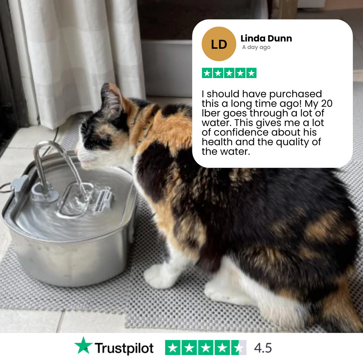 Stainless Steel Water Fountain