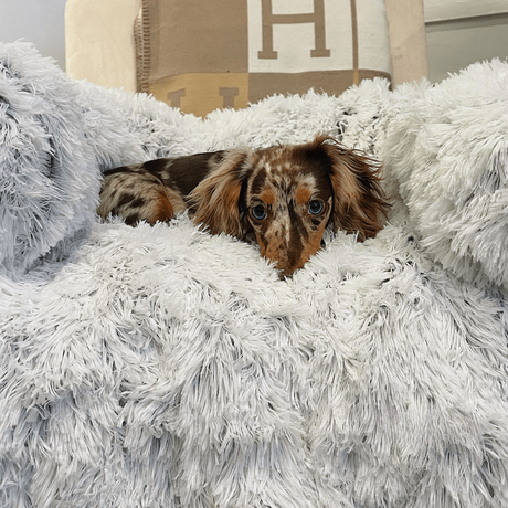 Water-Repellent Dog Bed Protector with Soft Vegan Fur – Non-Slip, Comfortable, Suitable for All Dog Sizes