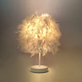 VelvetGlow - Feather Globe Accent Lamp
