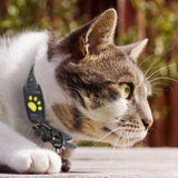 Trackcat - Real-Time GPS Cat Tracker Collar with Reliable Satellite Tracking