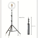 LED Ring Light with Adjustable Tripod and Phone Holder for Selfies and Video Recording