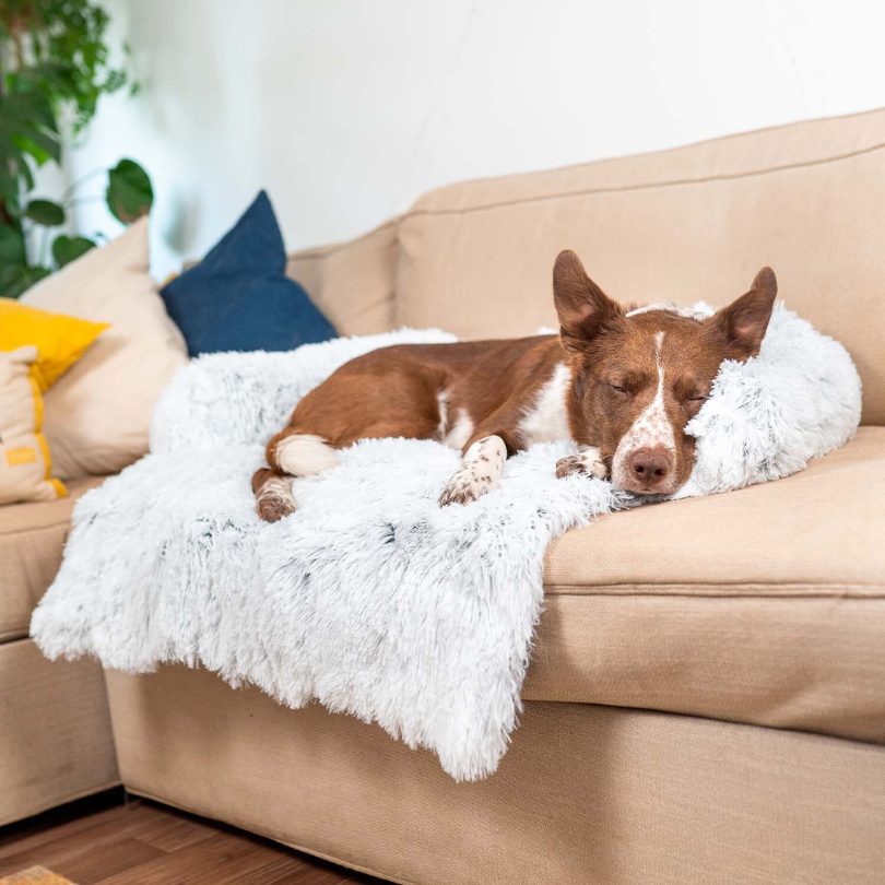 Water-Repellent Dog Bed Protector with Soft Vegan Fur – Non-Slip, Comfortable, Suitable for All Dog Sizes