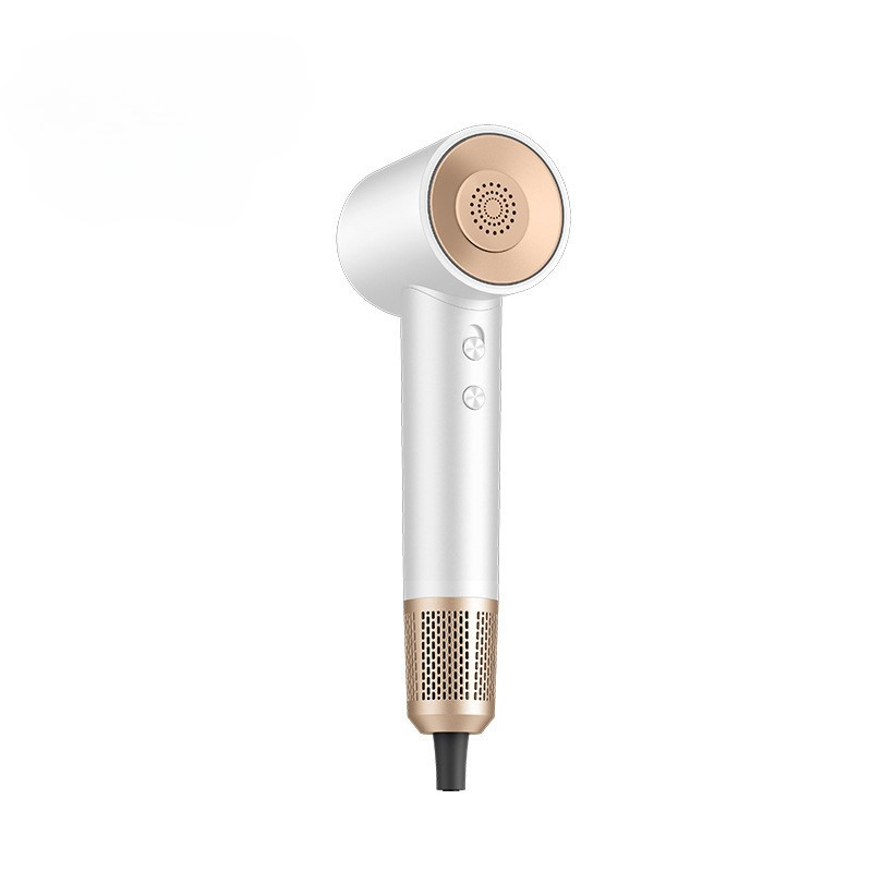 TurboDry - Professional Ionic Speed Hair Dryer
