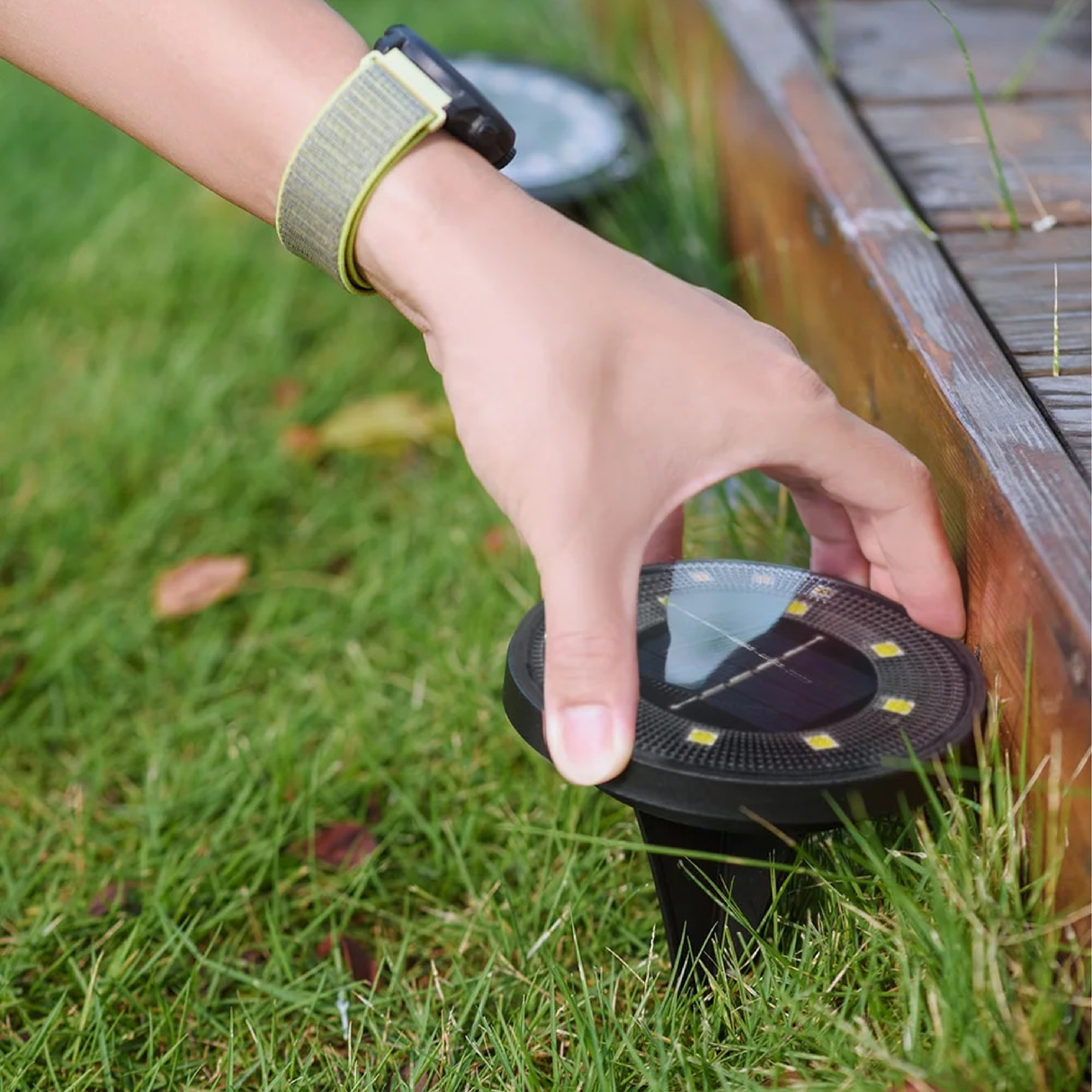 Solar Garden Lights - Waterproof Outdoor LED Lighting for Eco-Friendly Illumination