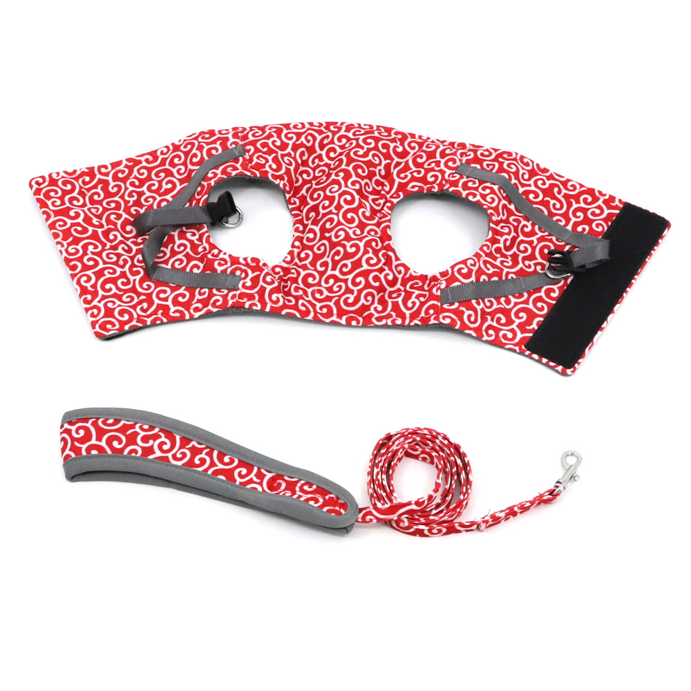 Stylish Cat Harness with Matching Leash - Comfortable and Easy to Wear, Adjustable Fit for Cats and Kittens