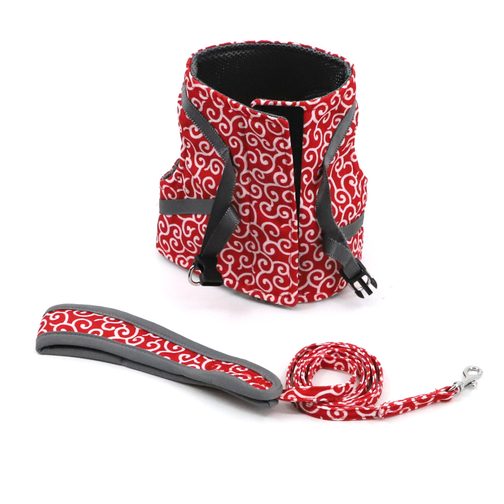 Stylish Cat Harness with Matching Leash - Comfortable and Easy to Wear, Adjustable Fit for Cats and Kittens