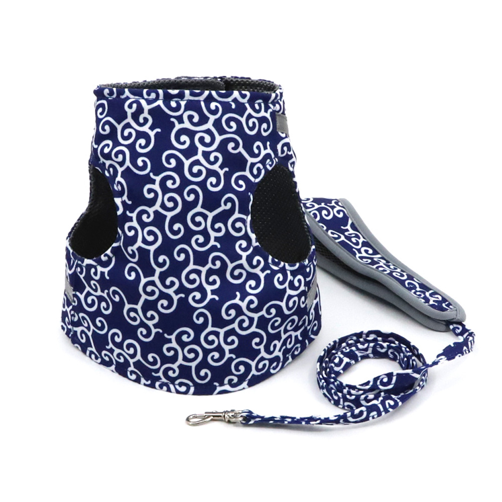 Stylish Cat Harness with Matching Leash - Comfortable and Easy to Wear, Adjustable Fit for Cats and Kittens