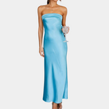 Women's Elegant Polyester Shiny Long Dress