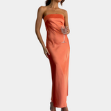 Women's Elegant Polyester Shiny Long Dress