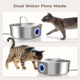 Stainless Steel Water Fountain
