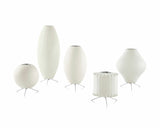 TripodAura - Nelson Lighting