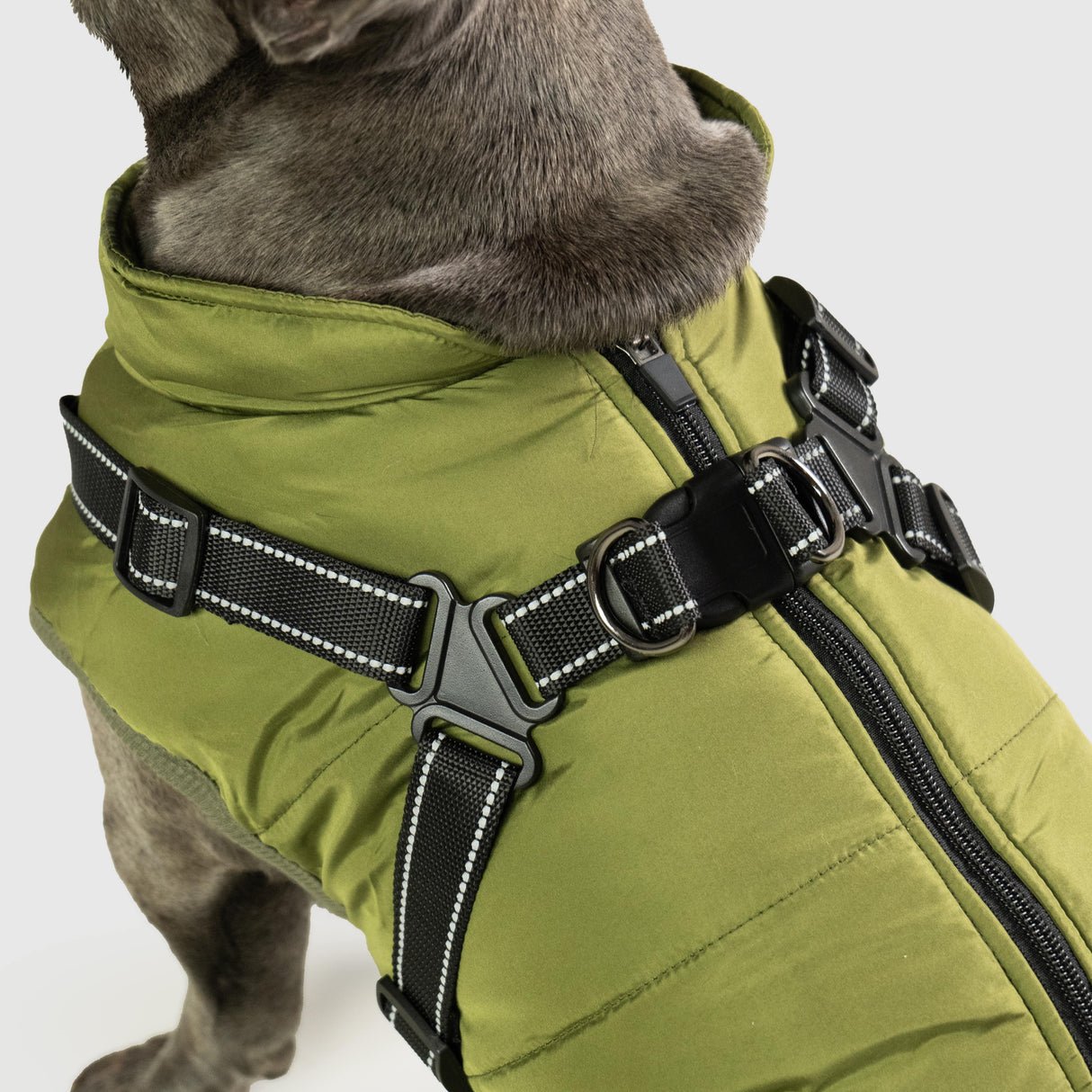 Waterproof Dog Coat with Built-in Harness – Warm, Weather-Resistant Dog Jacket for All Breeds