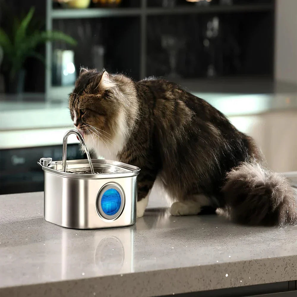 Stainless Steel Water Fountain