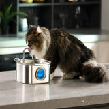 Stainless Steel Water Fountain