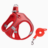 Adjustable Cat Shirt – Breathable Mesh Safety Design for Outdoor Adventures, Escape-Resistant and Fully Adjustable Fit