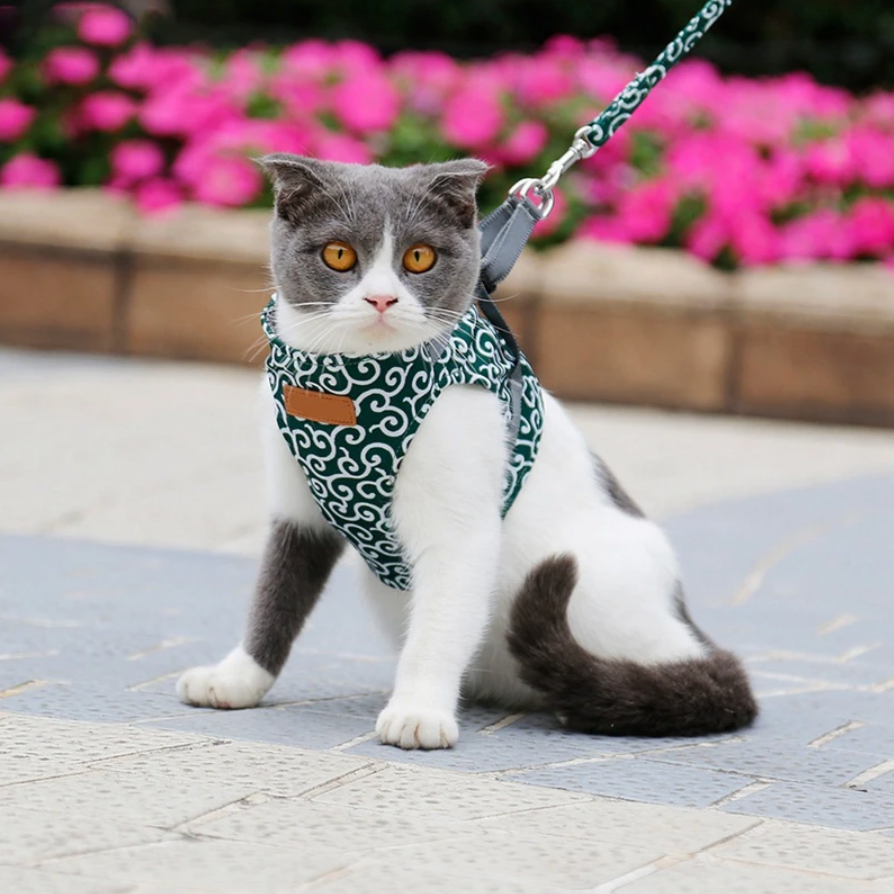 Stylish Cat Harness with Matching Leash - Comfortable and Easy to Wear, Adjustable Fit for Cats and Kittens
