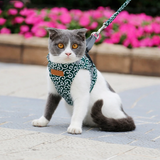 Stylish Cat Harness with Matching Leash - Comfortable and Easy to Wear, Adjustable Fit for Cats and Kittens
