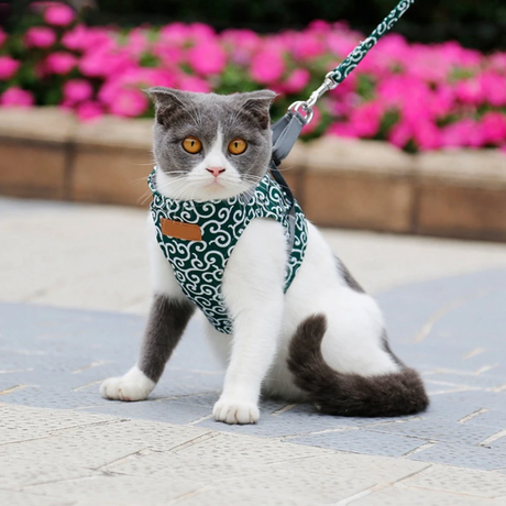 Stylish Cat Harness with Matching Leash - Comfortable and Easy to Wear, Adjustable Fit for Cats and Kittens