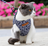 Stylish Cat Harness with Matching Leash - Comfortable and Easy to Wear, Adjustable Fit for Cats and Kittens
