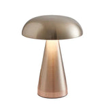 ShineAura - Sophisticated Metal Table Light