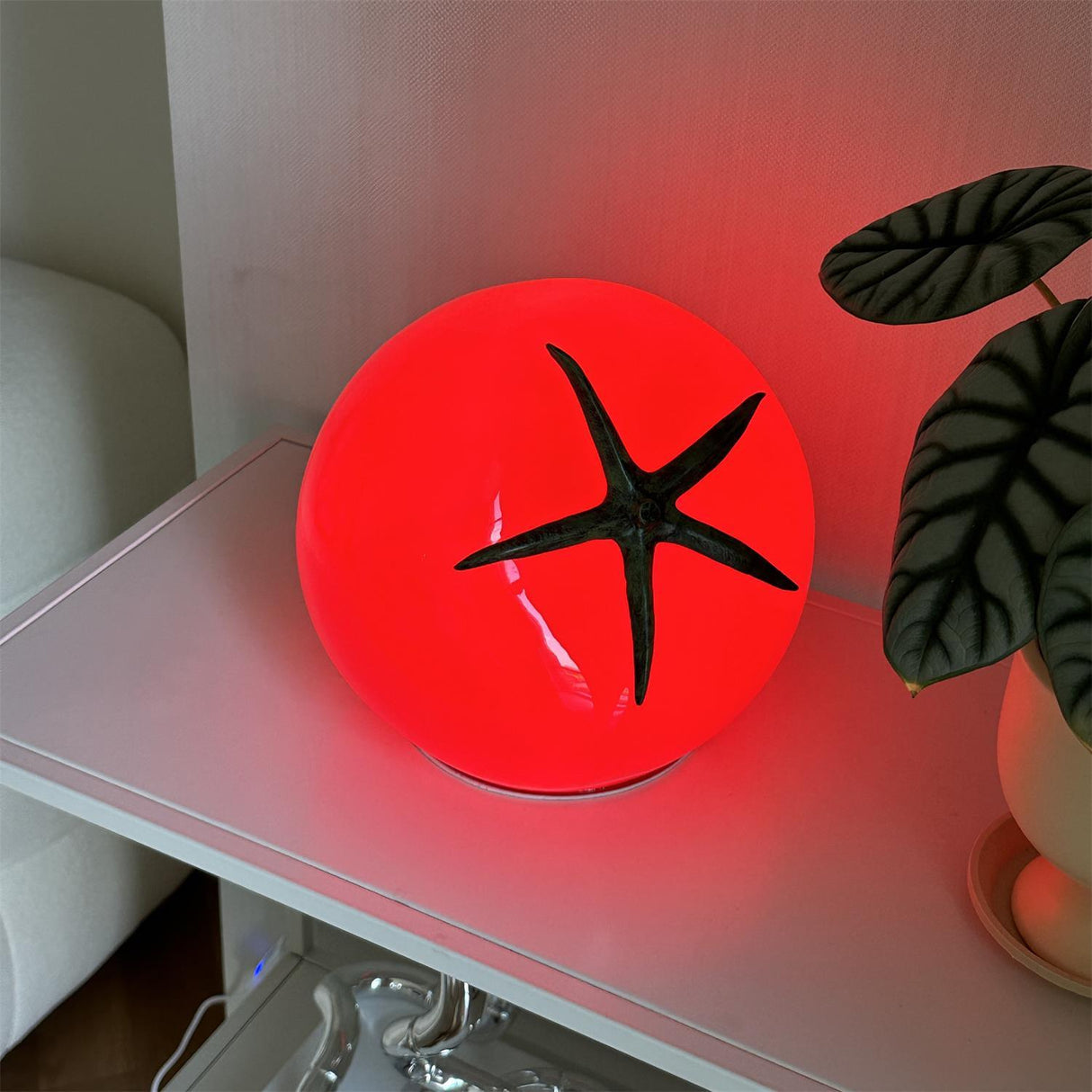 TomatoRadiance - Resin Lamp