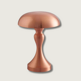 ShineAura - Sophisticated Metal Table Light
