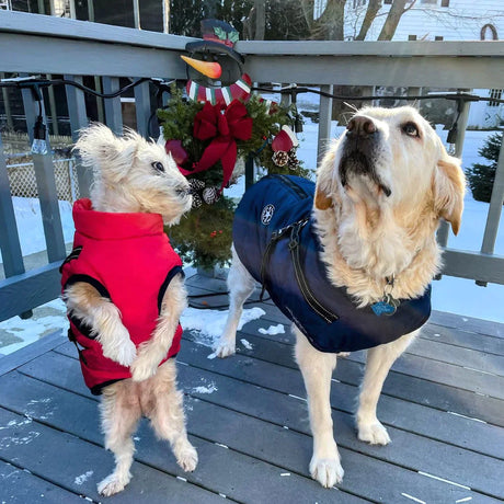 Waterproof Dog Coat with Built-in Harness – Warm, Weather-Resistant Dog Jacket for All Breeds