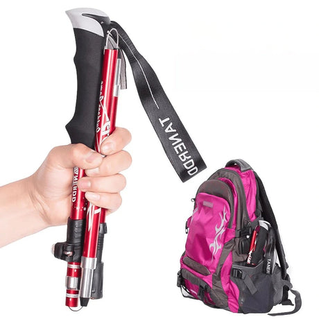 TrailEase – Lightweight Adjustable Walking Stick