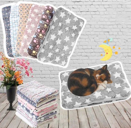 Ultra Soft Cat Blanket – Cozy Flannel Blanket with Cats, Hypoallergenic and Machine Washable, Perfect for All Cats