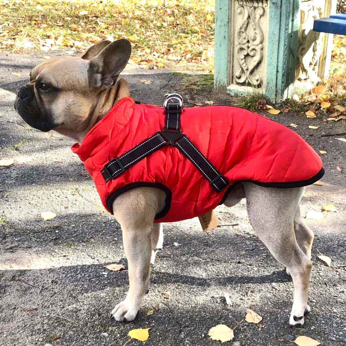 Waterproof Dog Coat with Built-in Harness – Warm, Weather-Resistant Dog Jacket for All Breeds