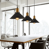 VibeSteel - Versatile Hanging Lamp