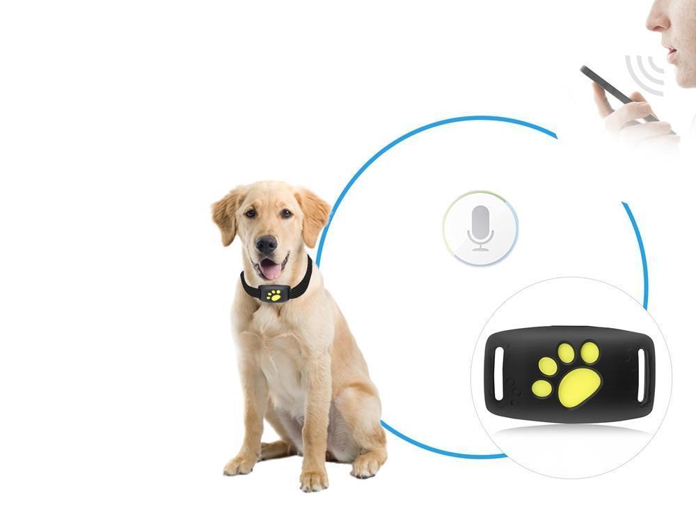 Trackcat - Real-Time GPS Cat Tracker Collar with Reliable Satellite Tracking