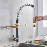 SpringTwin - Advanced Dual Outlet Tap